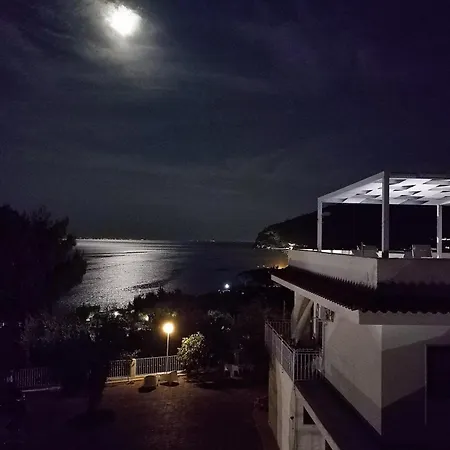 Agnuli *